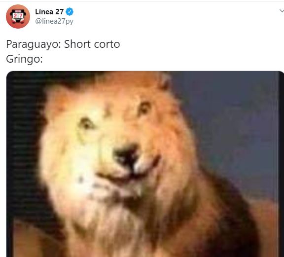 ¿Cómo dijo? Este es el origen del meme de moda del león confundido