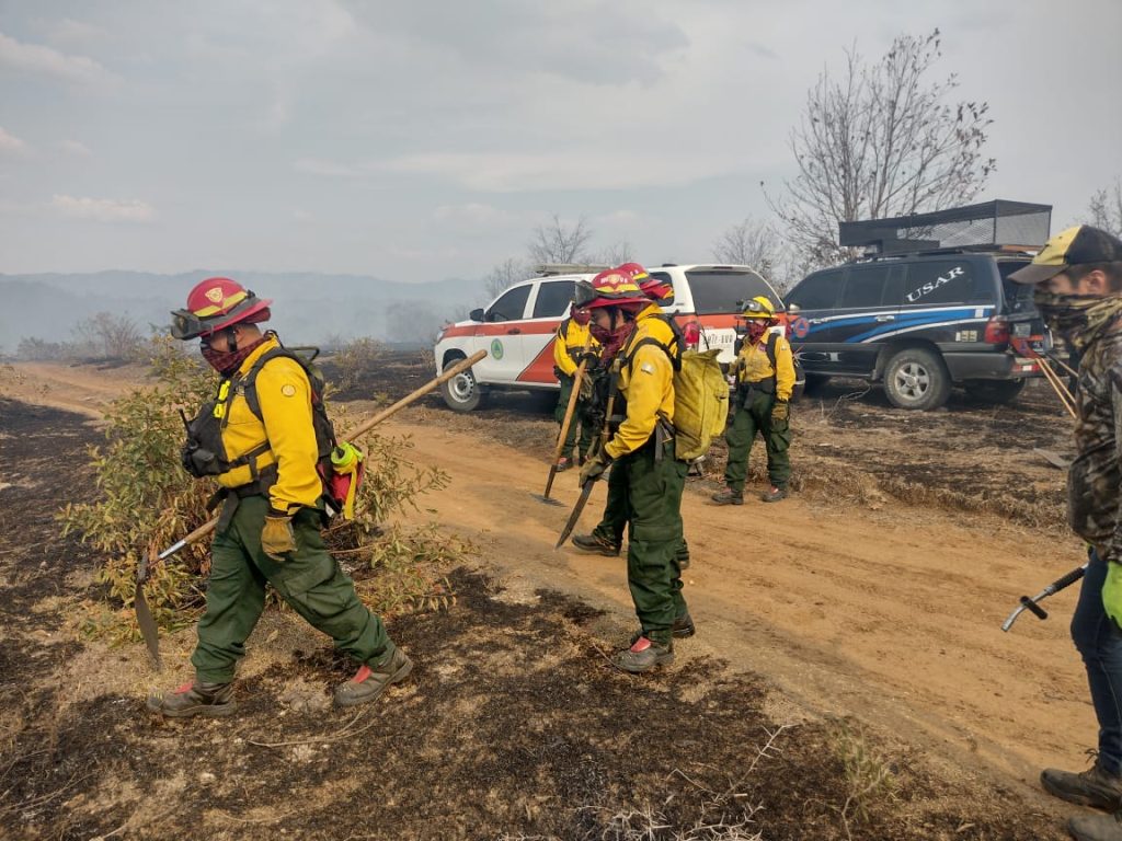 Incendios forestales devastan miles de hectáreas de bosque y 1